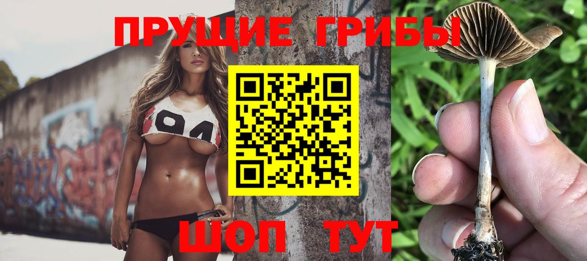 Псилоцибиновые грибы мицелий  Вход с VPN  Воткинск 